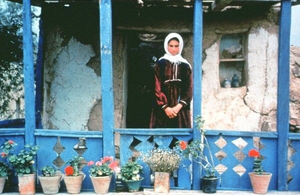 _carlaperfoll's tweet image. Eu selecionei algumas fotografias dos gerânios dos filmes do Abbas Kiarostami. Muitas vezes, lugares que foram alvos de terremotos e hoje têm a graça e a simplicidade de um pequeno vaso de flor na varanda....