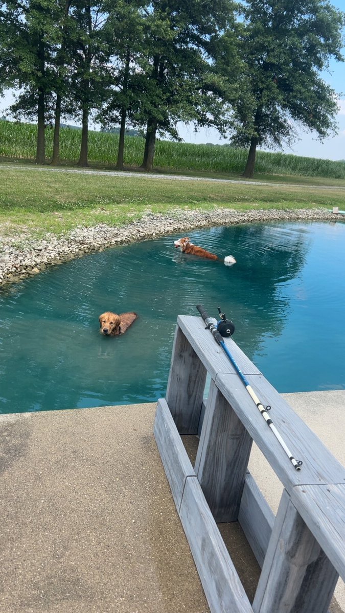 Good Evening Fam❤️