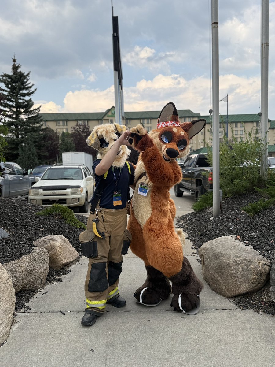 JackTheRedFox tweet media