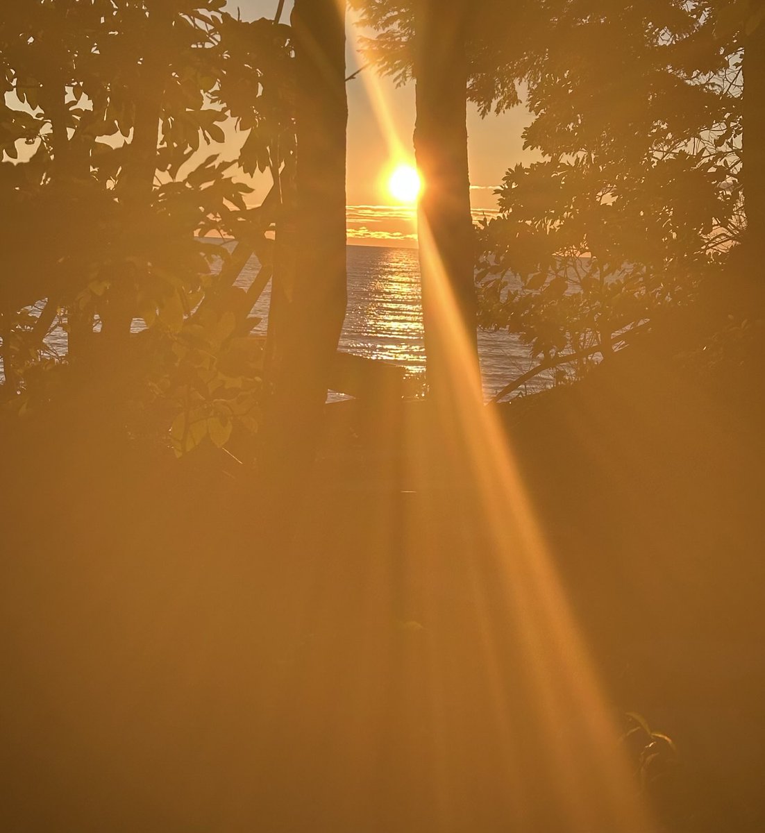 JohnKeatingTV's tweet image. End of Day. A beauty. Through the trees. #grandhavendeck
