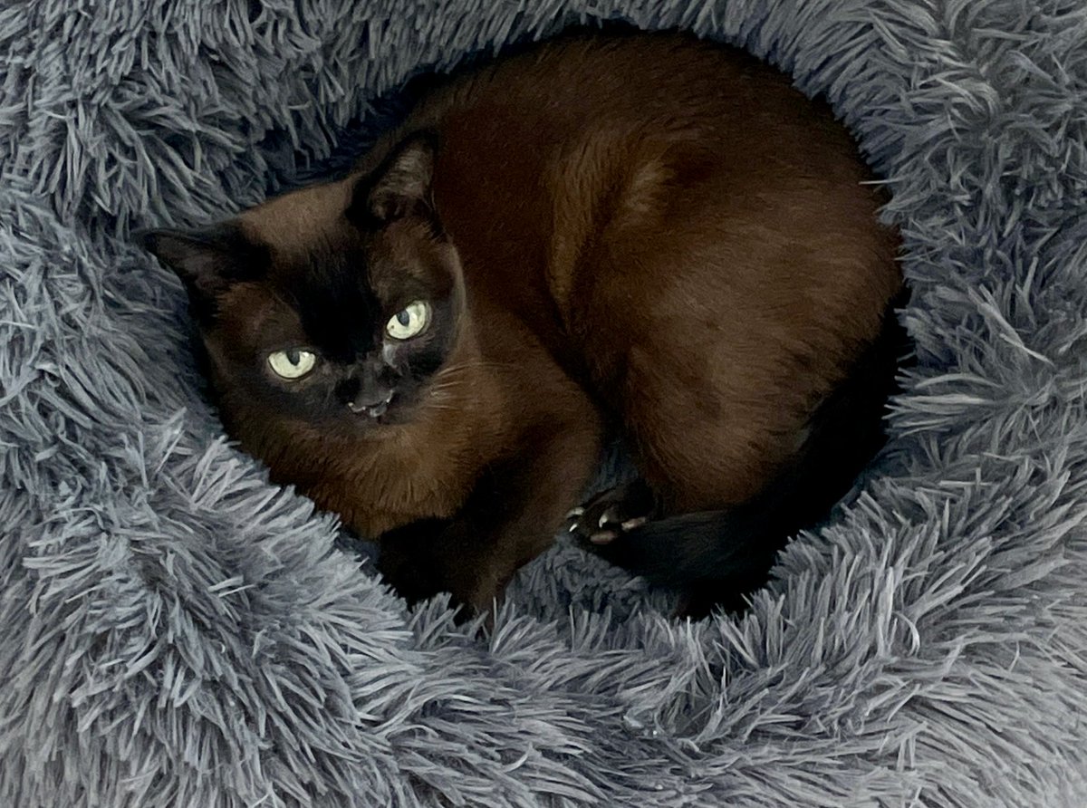 David Coverdale tweet media