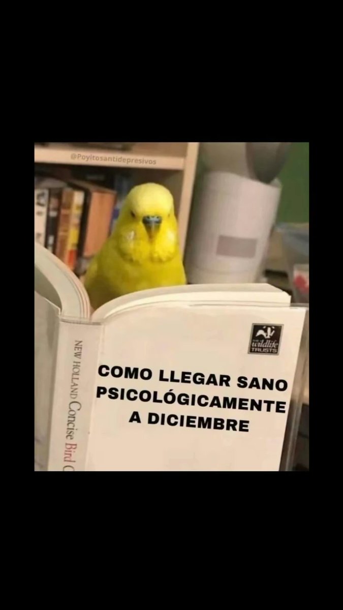 π
»π
° ππ
Άππ
Έπ
½π
²π
·βοΈβοΈβοΈπππY de Boca Juniors (@lorezp2) on Twitter photo Cuenta regresiva jajajaaj mitad de aΓ±o Cuenta regresiva jajajaaj mitad de aΓ±o