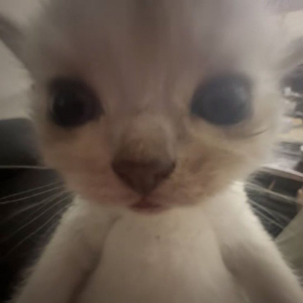 HanInHwang's tweet image. Tudo que eu faço tá errado, e se eu não faço nada, tá errado tbm