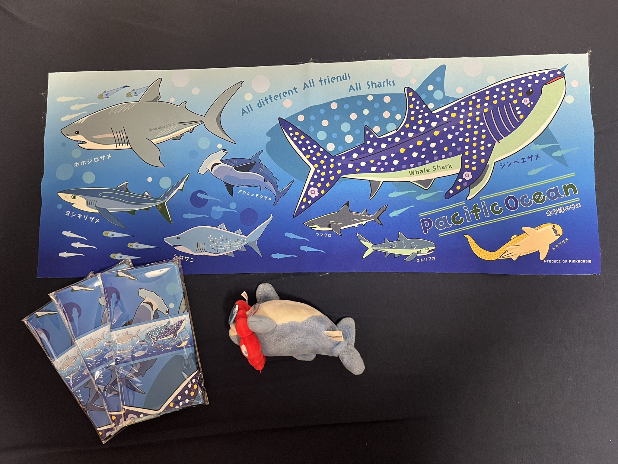 アイ🐬イルカちゃん→デザイナー＆海洋生物専門イラストレーター