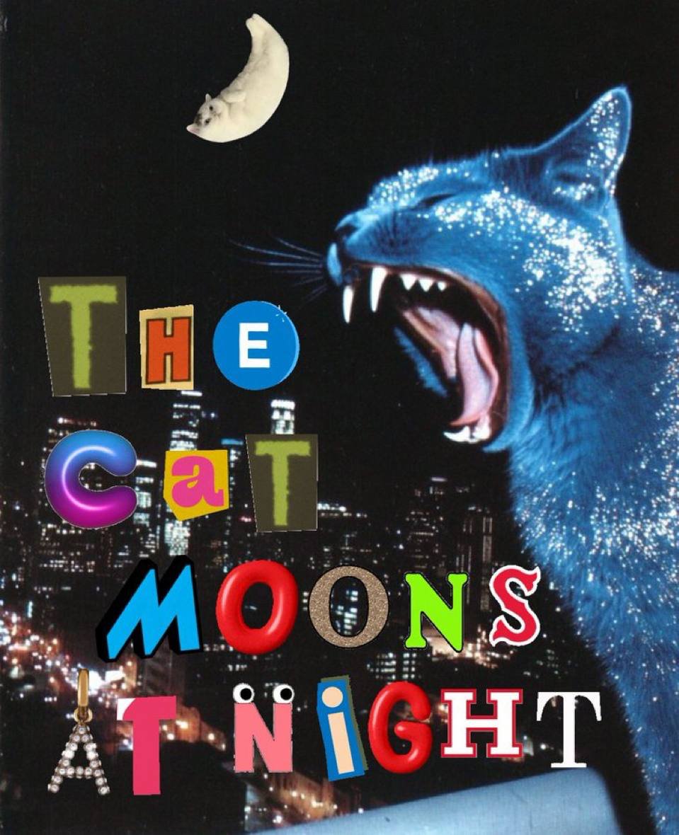 mooncatonmoon's tweet image. 🌙🐱