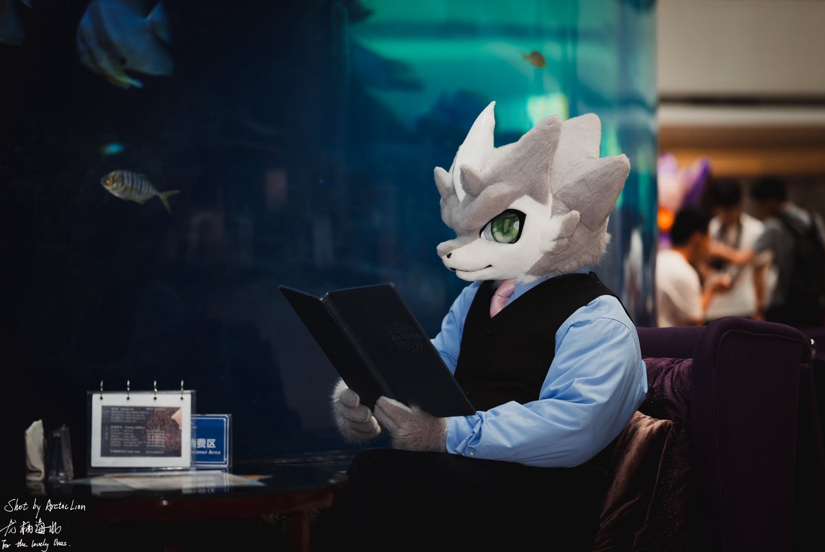 今日推荐都有什么？
📷：@龙栖海北 on bilibili
#FursuitsFriday