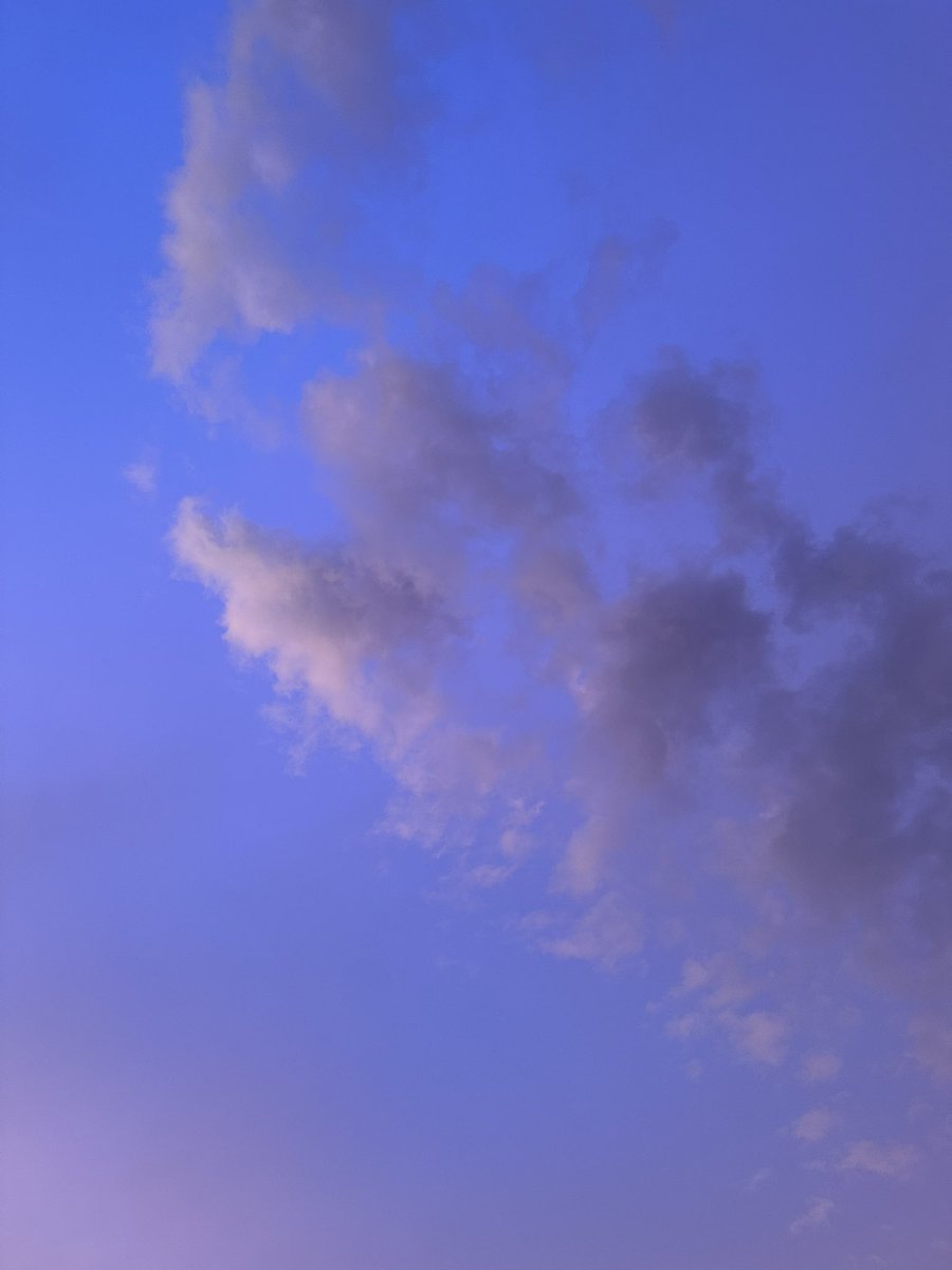 belleslore's tweet image. 