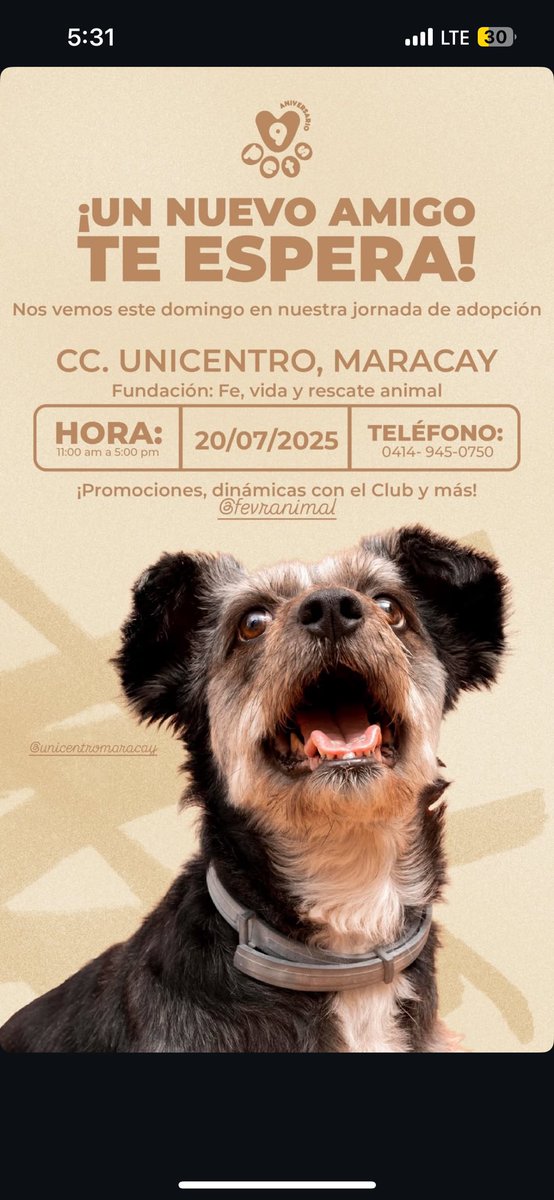 @fevranimal tweet media