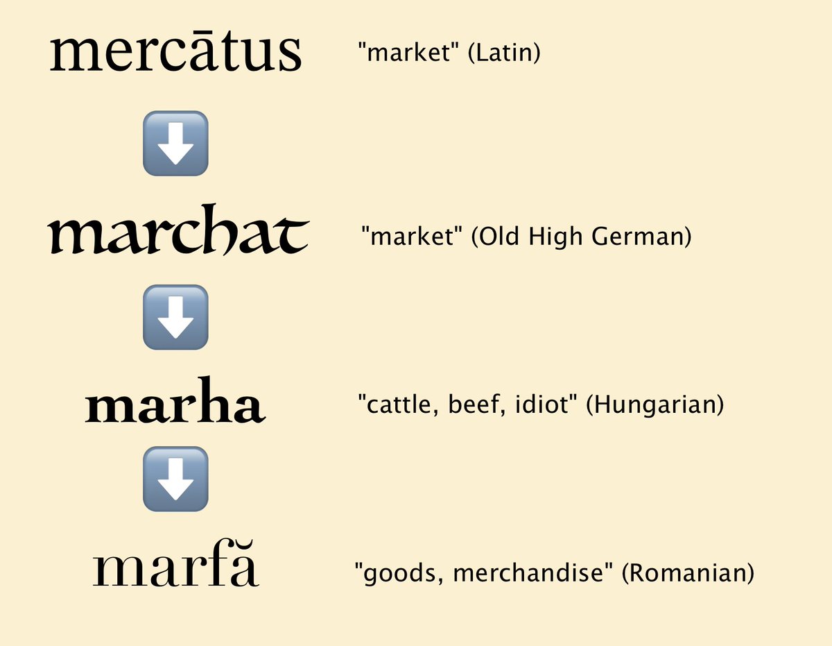 KEBuHCAH's tweet image. tired: inheriting words from Latin
wired: borrowing a word that was borrowed from another language that borrowed it from Latin
