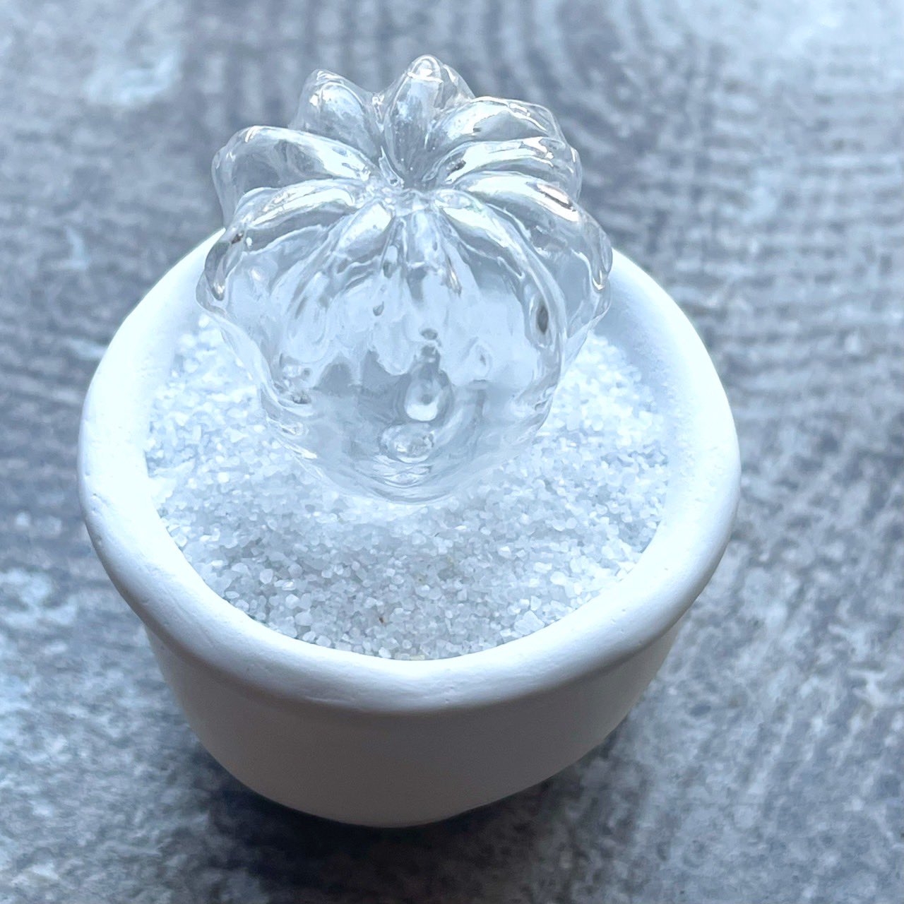 サボテン絵　専用 61URSz06HHL._AC_UF894,