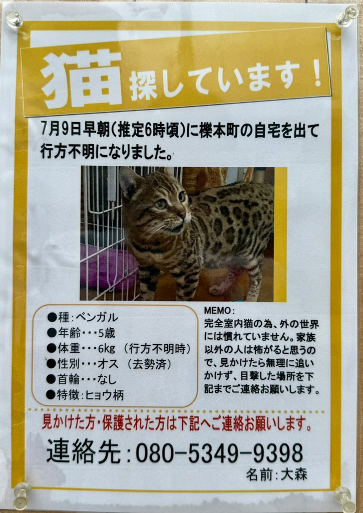 カズ中西・カメラマンでyoutuber(YPP登録)！ on X: 