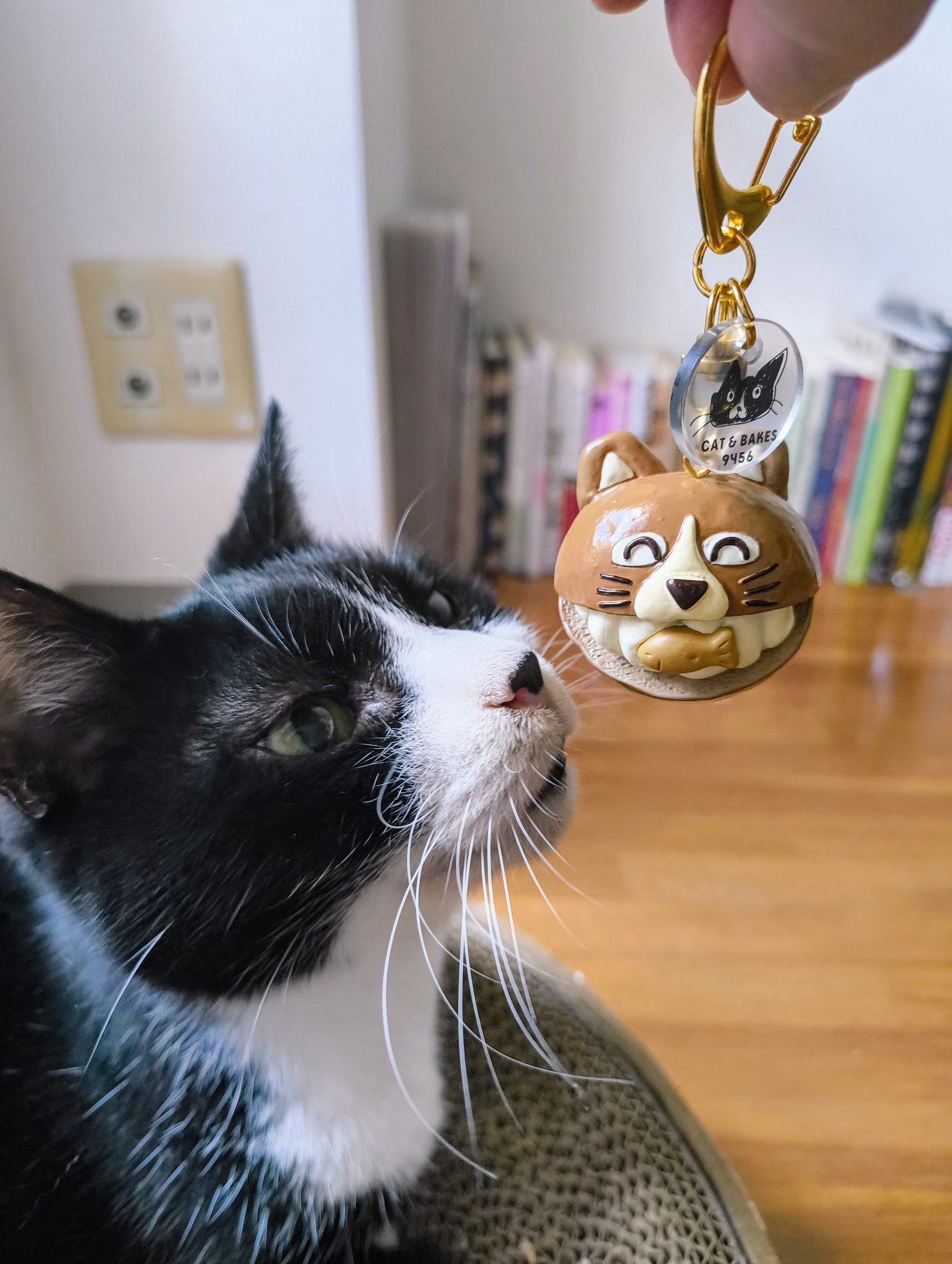 Lindt - 猫パン※プロフ必読願いますページ 12/27発売！ねこちゃんづくし”中身が見える”福袋2023】”ねこ”を