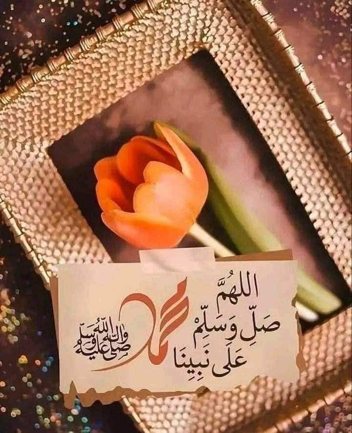السلام علیکم ۔۔❤
جمعہ مبارک ۔۔💚

صَــــــلُّوْا ؏ الحَبِيْب ﷺ♥️
صَـــــلَی اللہُ تَعَـــــالیٰ عَـلیٰ مُحَمَّـــــدٍ
ﺻَـــــﻠَﯽ اللہُ ﻋَﻠَــــﯿْﮧِ ﻭَﺁﻟِــــﮧِ ﻭَﺳَـــــﻠَّﻢْ

صبح بخیر ۔۔🌸💐

#قومی_زبان #اردو_زبان #اردو_ادب #سرائے_سخن