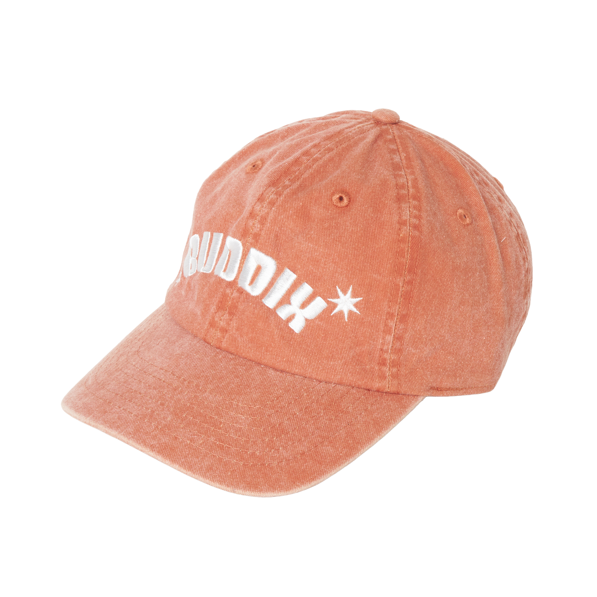 FANTASTICS buddix Logo Cap グレー GaxfjRu Rustic Old Barn Wood Cowboy Mesh Baseball Cap