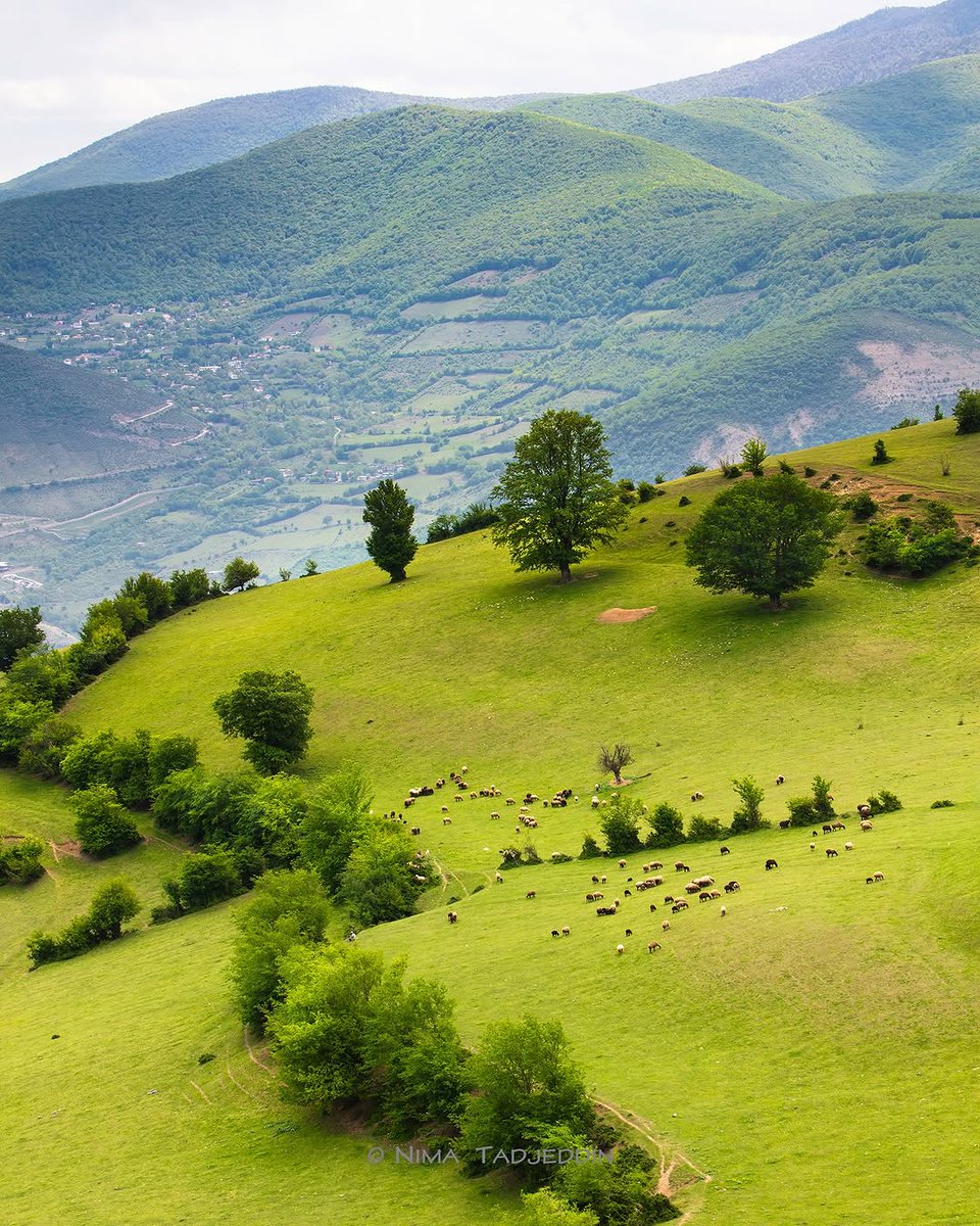 Mnik45Nik's tweet image. از یاد ببر، تنگ در آغوش بگیرم
از یاد ببر هر چه از این دل گِله داری
📷 nimatpix 