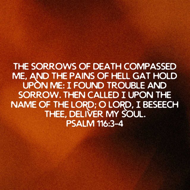 Pastor Mikey Jones aka Big Bear (@pastormikey_j) on Twitter photo 