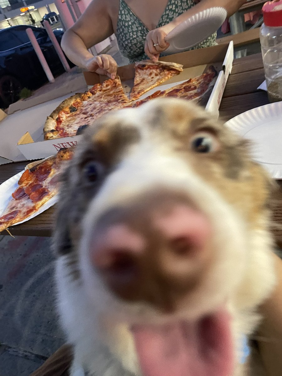 Castrid's tweet photo. chai’s 1st new park 🍕💛 https://t.co/hb4lnvfuB7