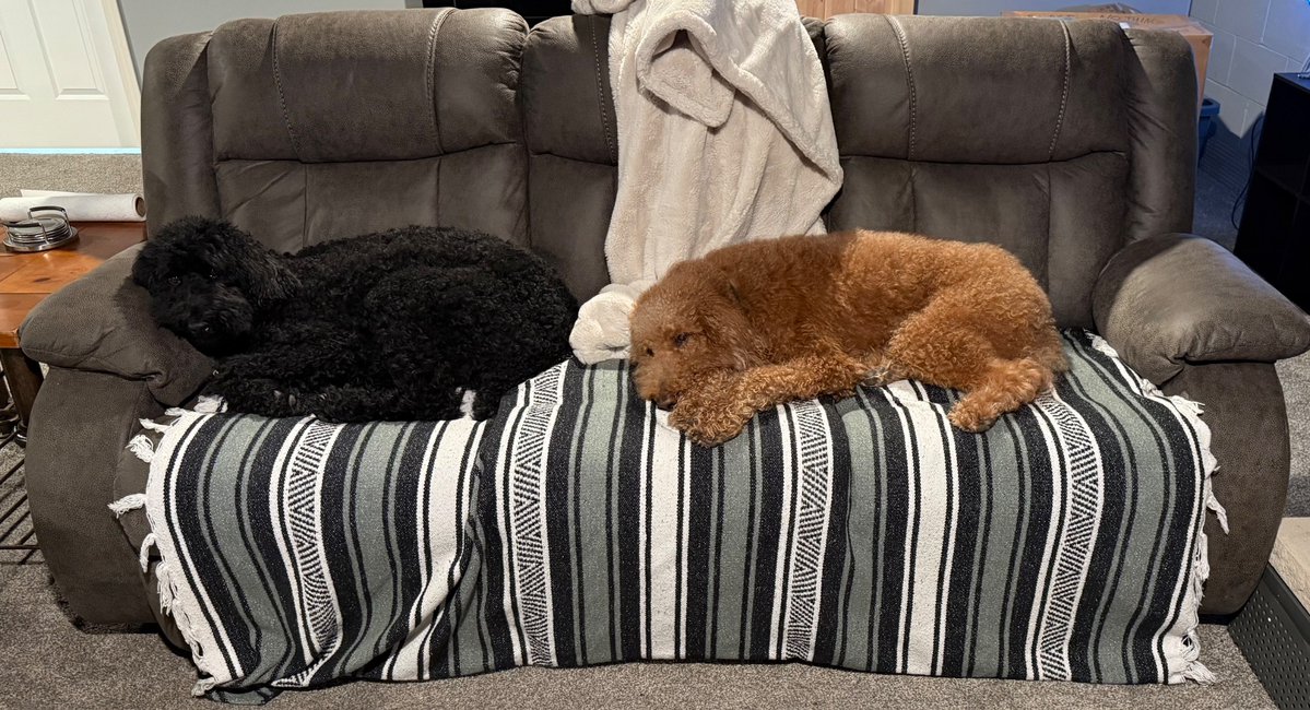HKBradshaw's tweet image. I think I need a bigger couch.