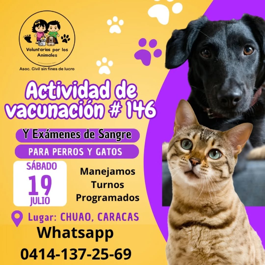 Este Sábado 19/Julio protege a quien más te quiere con su colita🐕🐈
Vacúnalo y hazle sus exámenes.
Evítale enfermedades, dolor y sustos 🐾 Actividad de Vacunación VPLA Nro.146 en Caracas
Escríbenos y Reserva tu cupo con tiempo por WhatsApp: 0414.137.25.69