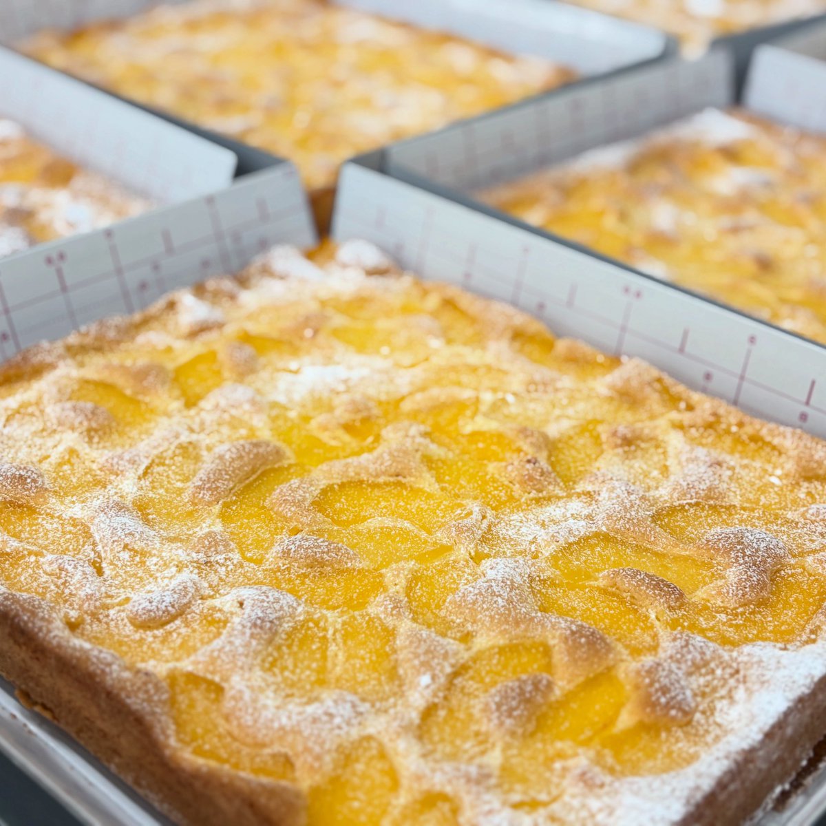 手作り業務用ケーキメーカー•製造の株式会社全菓（オフィシャル）SNS事業部です。

シートケーキ アップル出来上がりました。

#手作りケーキ #業務用ケーキ #冷凍ケーキ #スポンジケーキ  #もっと力になれるはず #お菓子で笑顔を #お菓子で笑顔を届けたい #お菓子で笑顔に #手間軽減 #人手不足解消