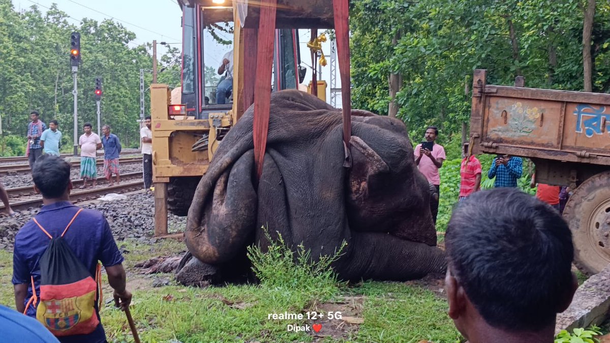 MilindPariwakam's tweet image. 3 elephants killed in rail accident...apparently driven by hulla parties..
@RoadkillsIndia @ntca_india
@RailMinIndia @byadavbjp