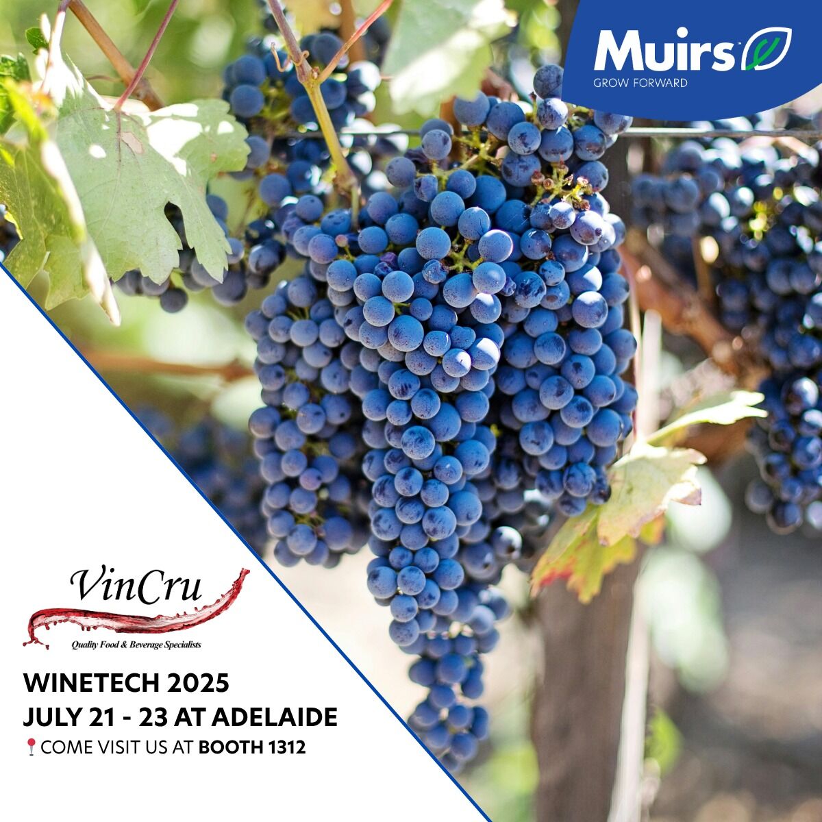 🍇 Winetech 2025 – See You in Adelaide! 
 
From 21-23 July, Adelaide will host one of the most important events for the wine industry: Winetech
We’re thrilled to announce Muirs and VinCru will be participating and will be on stand 1312!