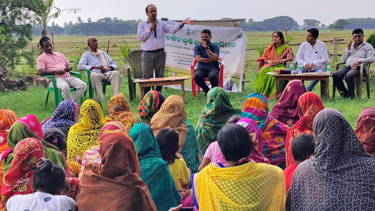 WorldFishCenter's tweet image. 🤝 As part of India’s ambitious Viksit Krishi Sankalp Abhiyan 2025, WorldFish joined the campaign to engage rural communities in Odisha.
This helped bridge the lab-to-land gap, translating science into tangible solutions for rural progress: tinyurl.com/WFNews2507f
#AquaticFoods