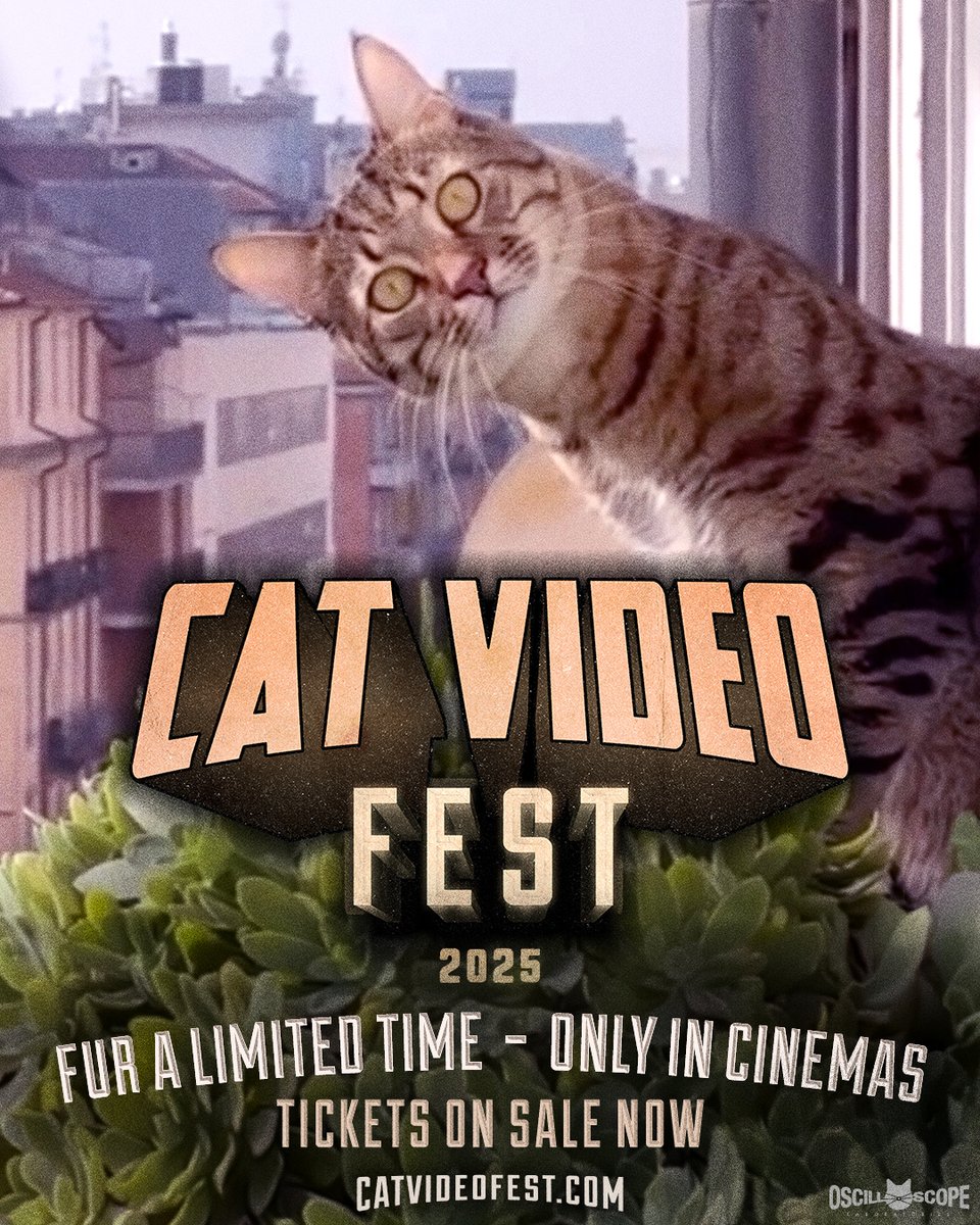 DendyCinemas's tweet image. The year's most paw-some cinema event is almost here. CATVIDEOFEST 2025 pounces into Dendy Cinemas fur two screenings on August 2 & 3. 75 minutes of the best cat videos from around the globe on the big screen. 🐱
Get your tickets here - f.mtr.cool/nximegngxg
#CatVideoFest