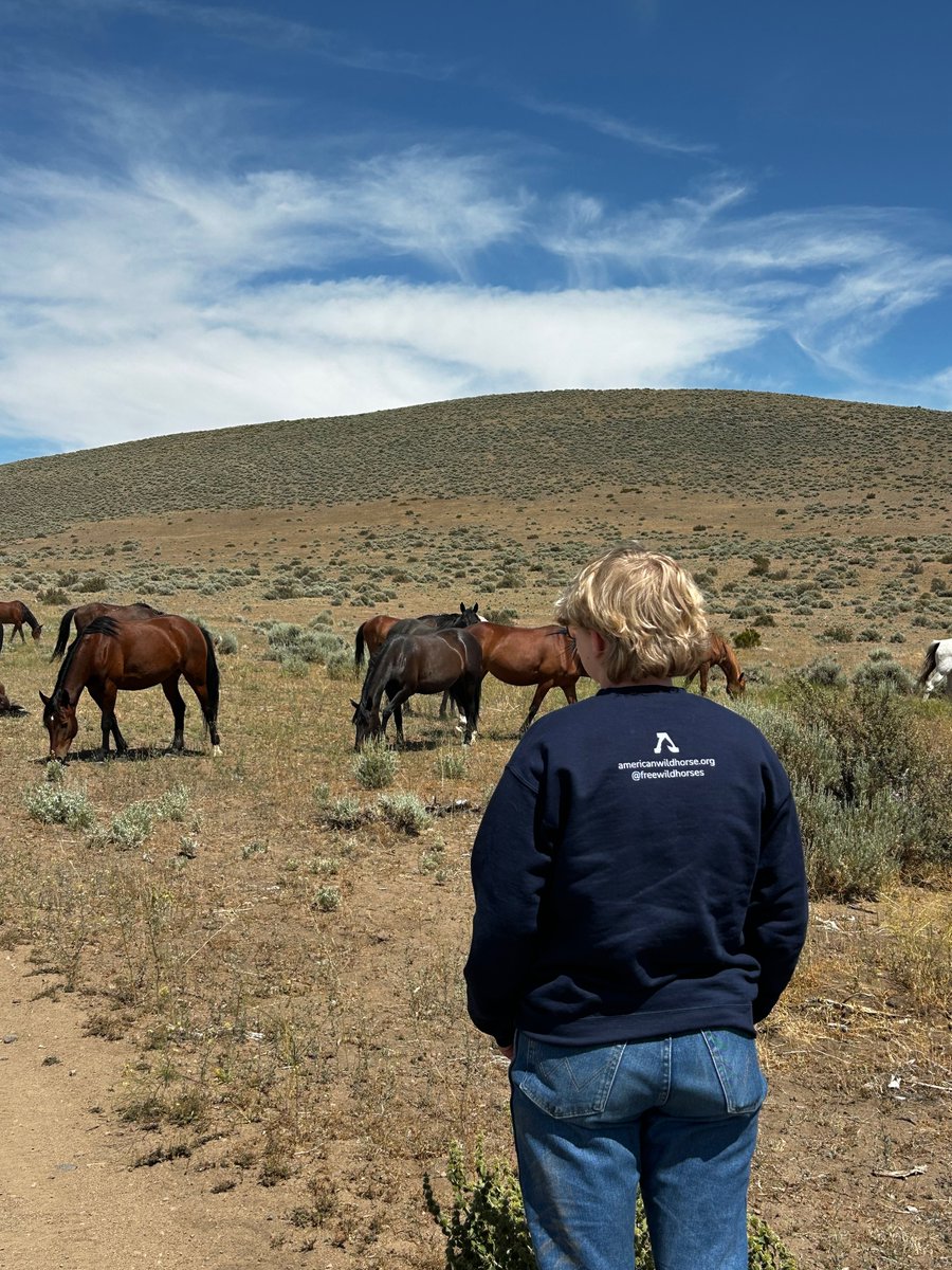 FreeWildHorses's tweet image. Meet Addax—a high schooler from Iowa with a deep interest in wild horse protection! Addax joined our Nevada team in June as a student volunteer, and his curiosity, dedication and passion made for a great week! Engaging youth in the future of America’s wild horses gives us hope 🌟