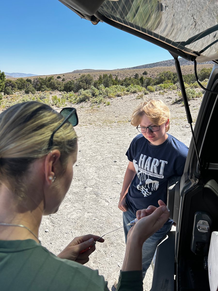 FreeWildHorses's tweet image. Meet Addax—a high schooler from Iowa with a deep interest in wild horse protection! Addax joined our Nevada team in June as a student volunteer, and his curiosity, dedication and passion made for a great week! Engaging youth in the future of America’s wild horses gives us hope 🌟