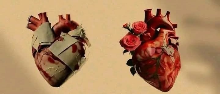 طلحہٰ tweet media