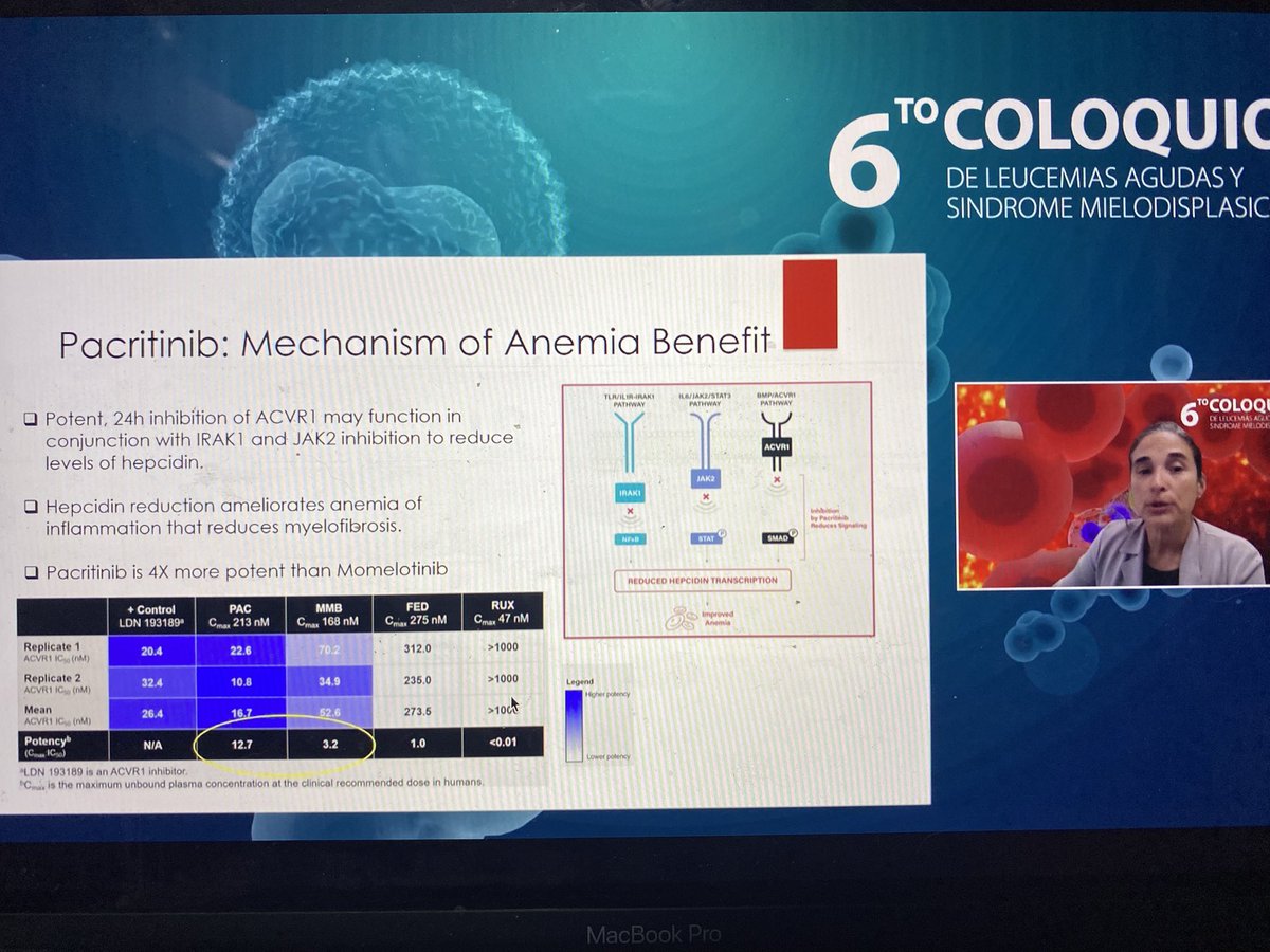 Dra. Romina Sosa hablando de mielofibrosis