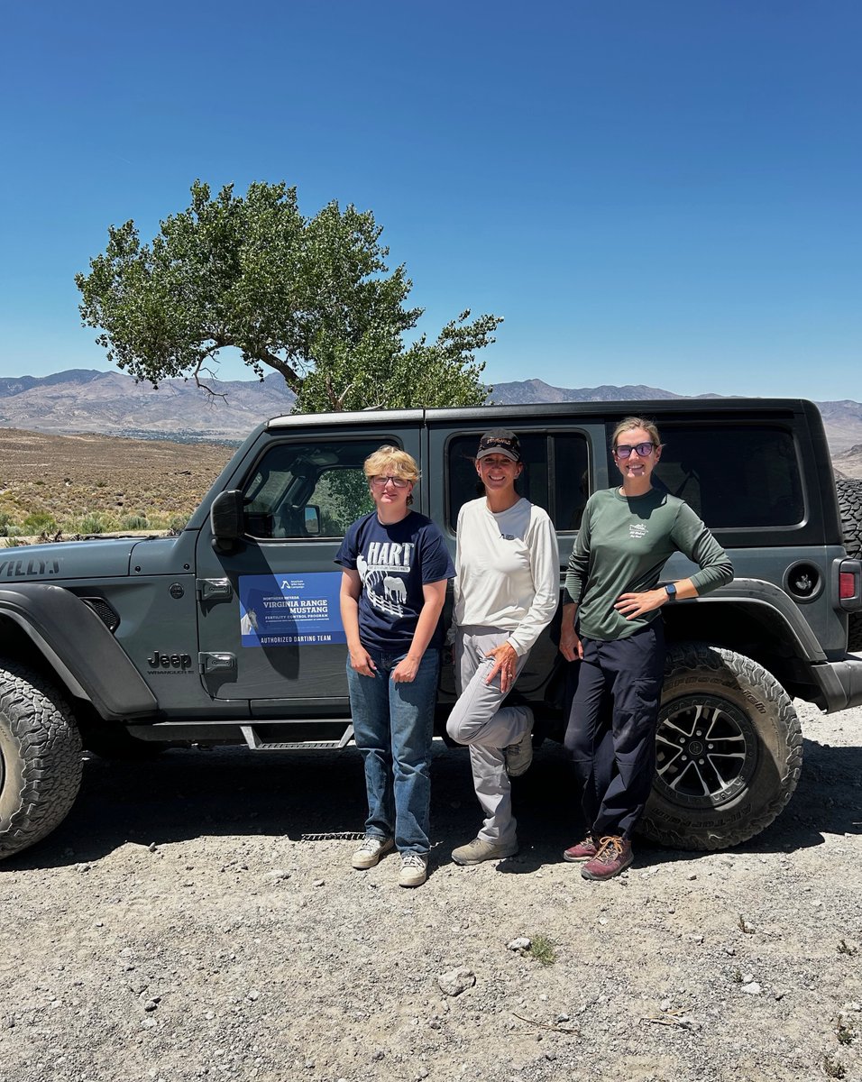 FreeWildHorses's tweet image. Meet Addax—a high schooler from Iowa with a deep interest in wild horse protection! Addax joined our Nevada team in June as a student volunteer, and his curiosity, dedication and passion made for a great week! Engaging youth in the future of America’s wild horses gives us hope 🌟