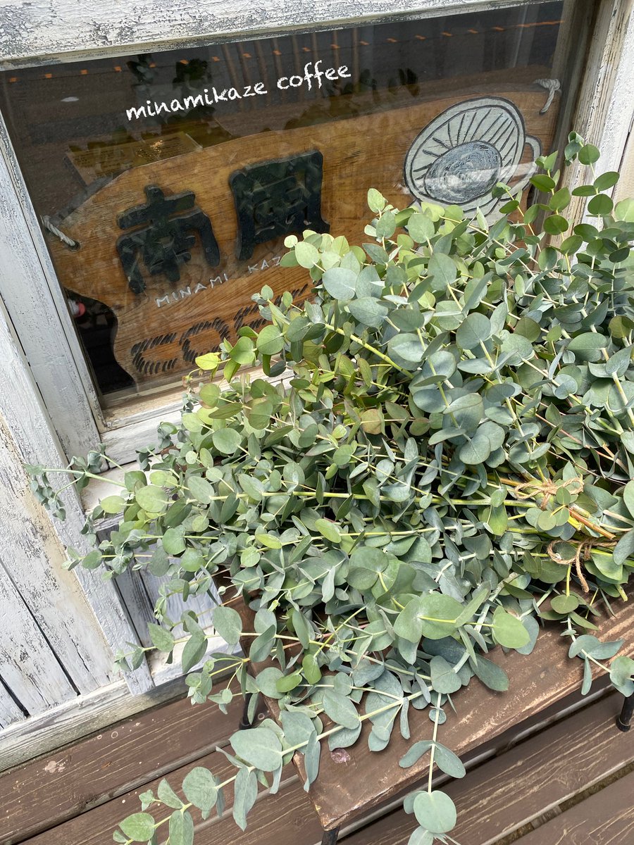 カフェ、オープンしています。
お待ちしています🤓
　
(南風ご利用の方にユウカリの葉プレゼントします！
今回は少しなのでお早めに！)

☕ #南風COFFEE
       #南風コーヒー

～三浦海岸・海の見える喫茶店～