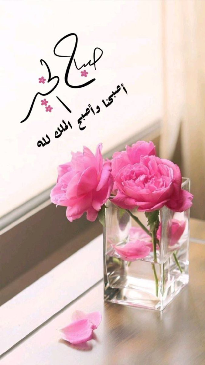 ♥️moh♥️ (@mohmedm1345428) on Twitter photo 