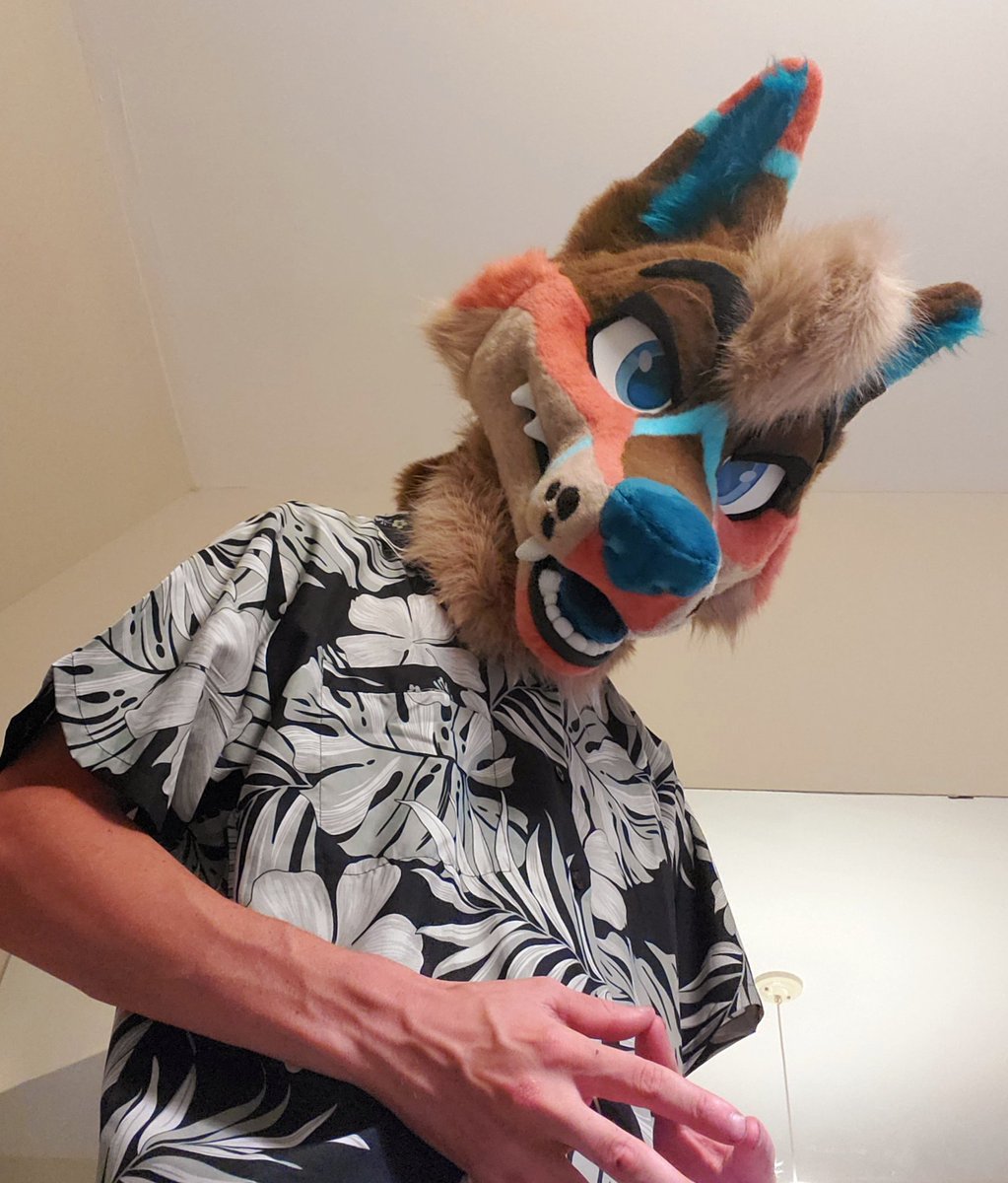 New yote who dis?! 👀✨️