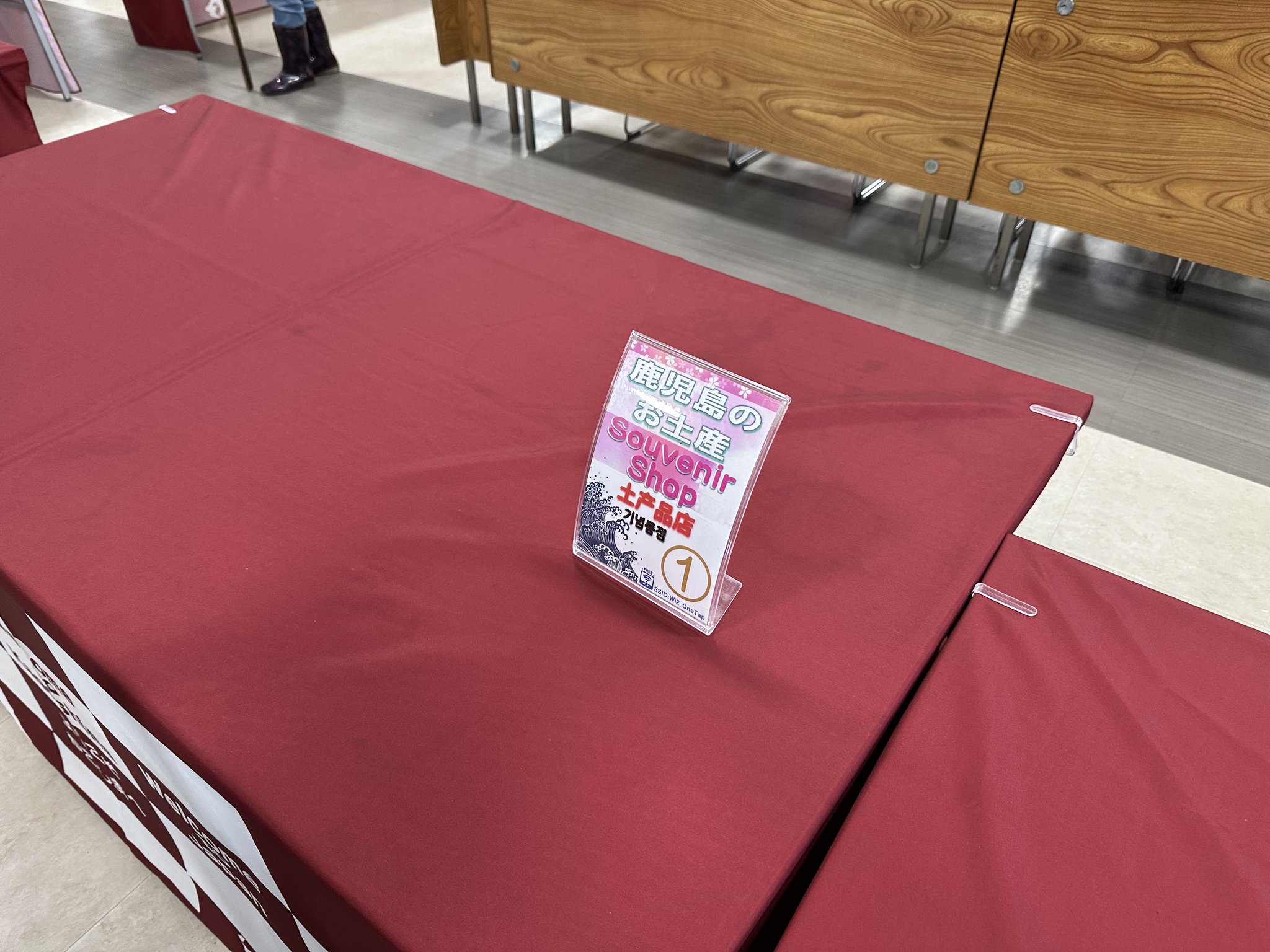 ダイヤモンドプリンセスとはまなすセット マリンちゃん専用 未使用 ダイヤモンドプリンセス 模型 Ship Model 船 豪華客船