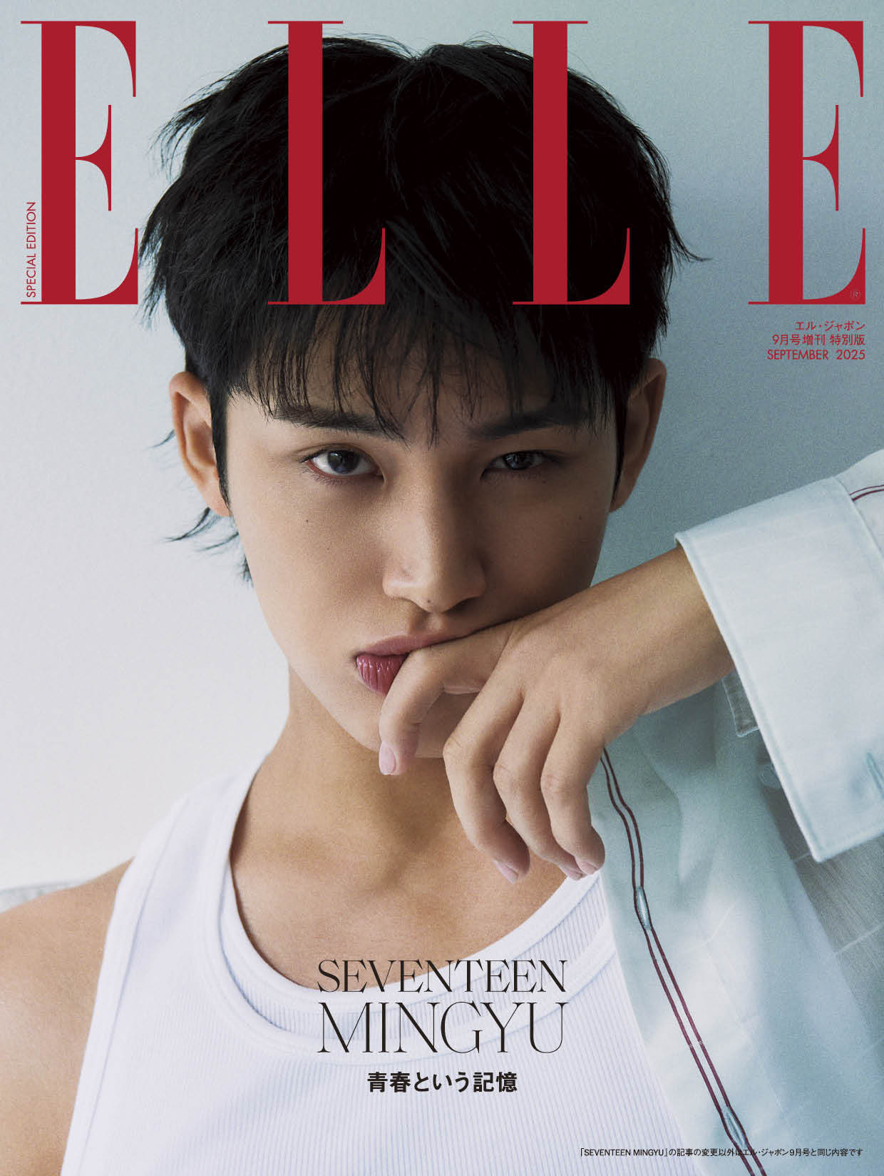 SEVENTEEN MINGYU ワッペン seventeen ミンギュ MINGYU ネームワッペン （⭐︎, SEVENTEEN