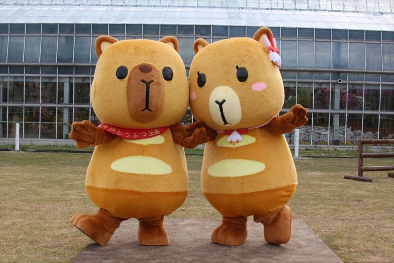 kobe_netshop's tweet image. 『カピィ&バーバラ マスコットセット』をご紹介します❗
神戸どうぶつ王国のマスコットキャラクターであり、当店の名前の由来でもある「カピィ&バーバラ」のマスコットセット!
カバンにつけて一緒にお出かけしたり、デスクに飾っても可愛いです❤
サイズ:高さ13×幅9㎝
kobe-oukoku-raku-uru.com/item-detail/18…