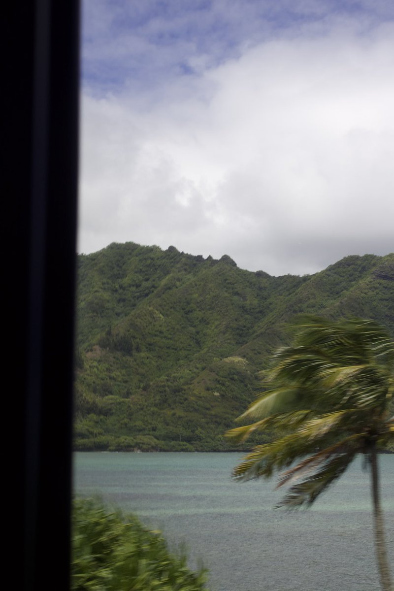 DO$E (@theonlydose_) on Twitter photo 