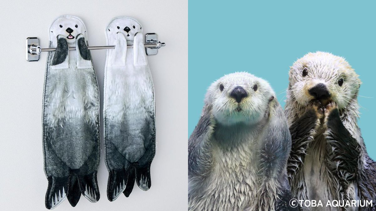youmore_tw's tweet image. \メイちゃん・キラちゃんと暮らそう!/
鳥羽水族館とコラボして、ラッコのメイちゃんとキラちゃんの雑貨をつくりました。飼育係さんに監修いただき、それぞれの特徴を再現しています。
くわしくは⇒felissimo.co.jp/youmore/blog/m…