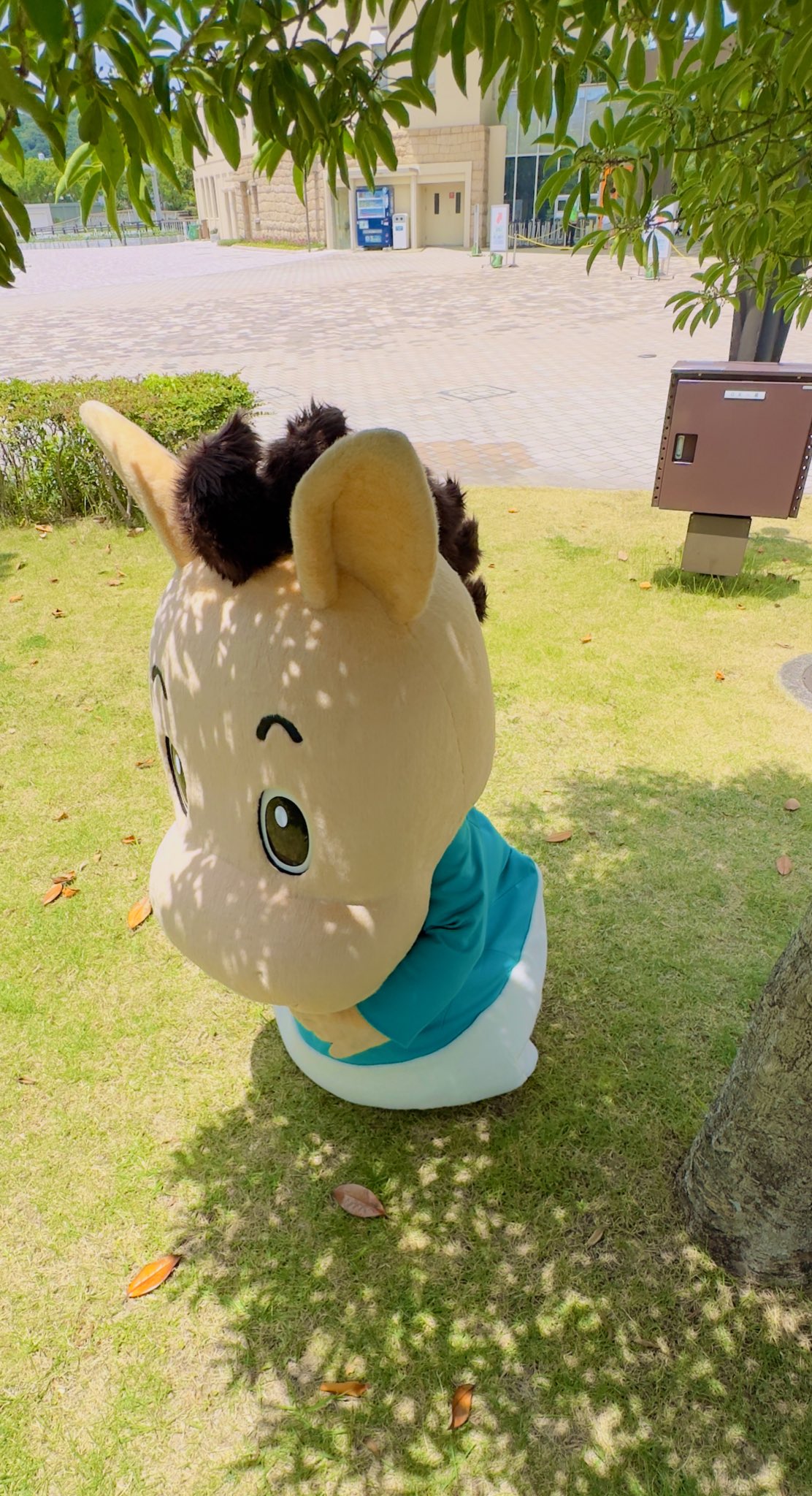 ケンケン様用 おおかみくん おにぎり　まとめ売り 2022,11/7 新着WILD カメルーン便 ケンタウルスオオカブト No,2