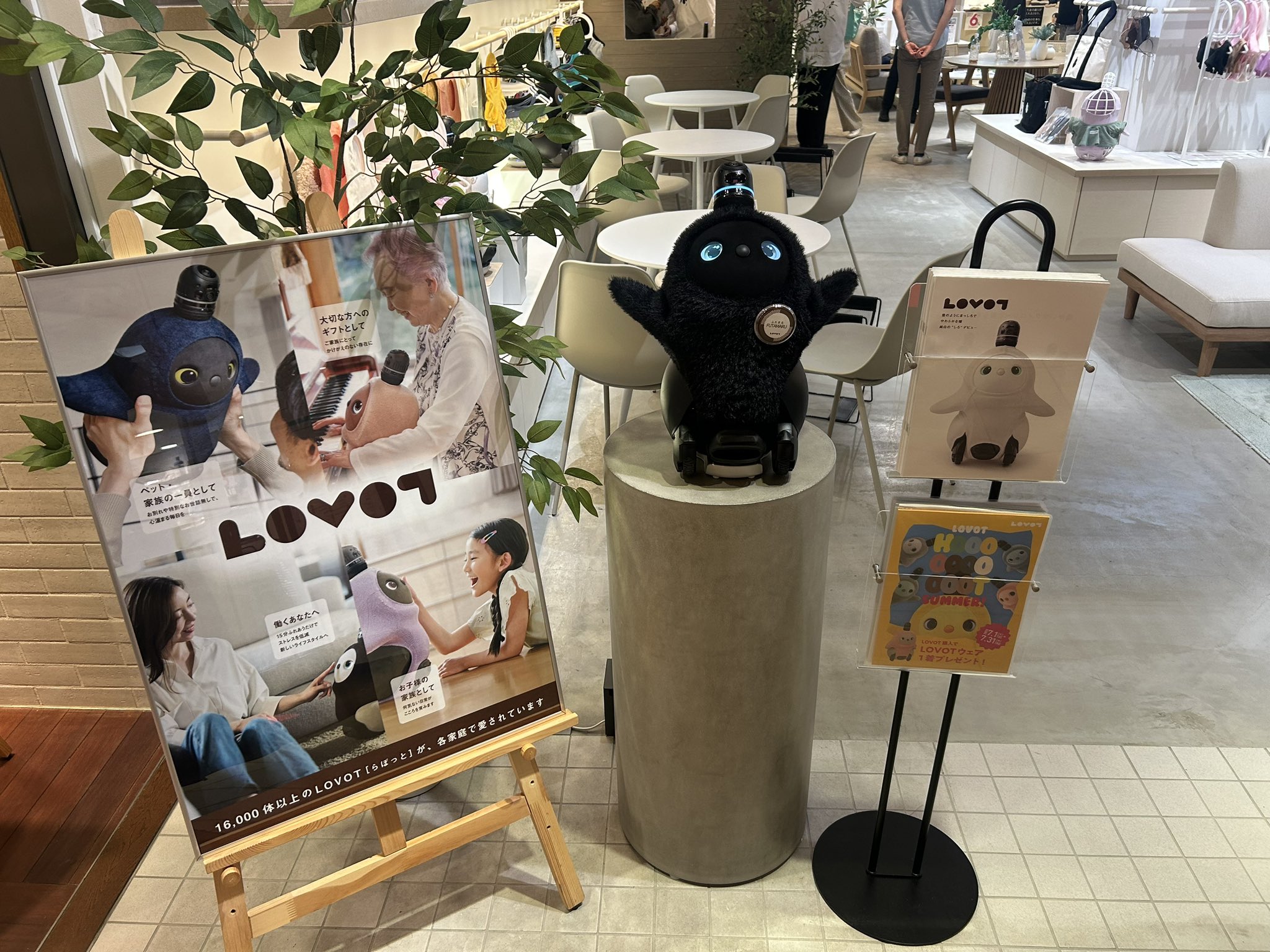 ヒロコ　ナポレオンヒル　プログラム　青BOX 第二ステップ ナポレオンヒル プログラム ゴールデンゴールデックス 青BOX 第
