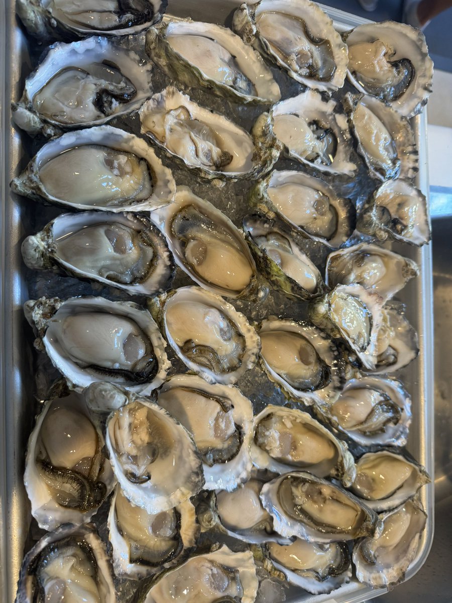 itzBoltNFT's tweet image. Shucked some oysters!