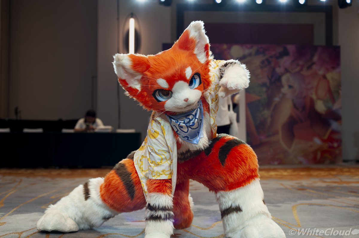 #FursuitFriday
飒！

摄影：白云（ID未知…）