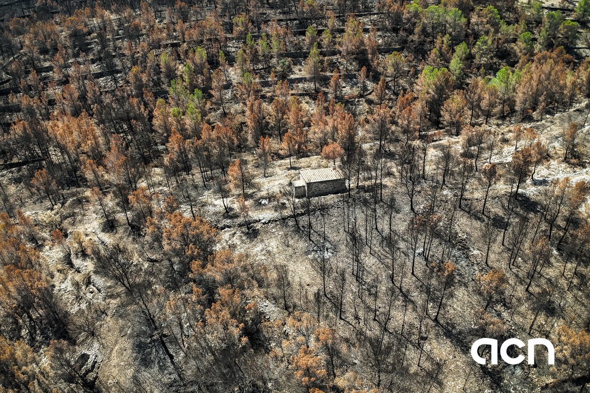 DRON | L'incendi de Paüls a vista de dron mostra la devastació del foc fins a Xerta, Aldover, Alfara de Carles i Tivenys. L'abandonament agrícola es fa evident amb les imatges des de l'aire del comportament del foc. ow.ly/JL5C50WrFs2