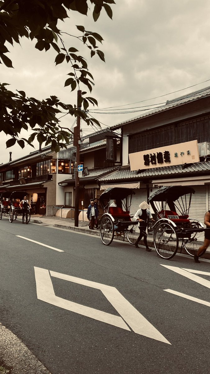 KyotoZoomerKZ's tweet image. I keep getting job offers in Tokyo but I dread going because I keep getting mogged there. Like everyone there is taller than me, richer than me and more pretty than me…I guess I enjoy being a big fish in the small Kyoto pond a bit too much.