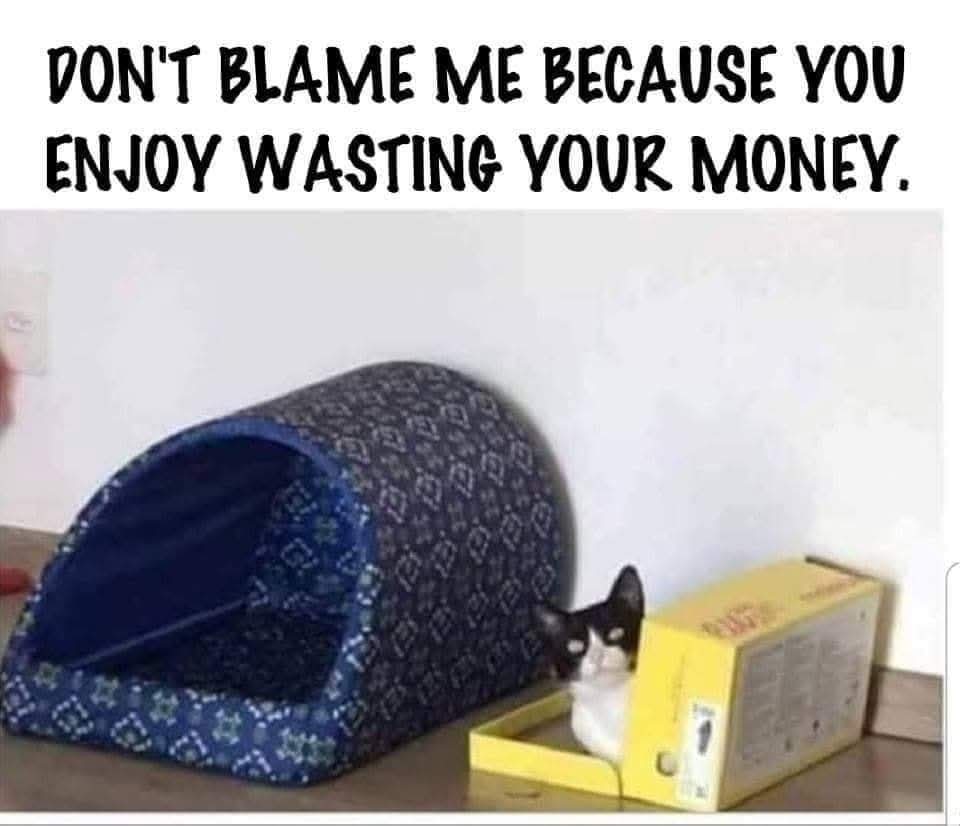 leepiper66's tweet image. 