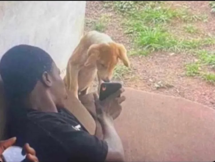 OtaiPeter's tweet image. They are unveiling another player soon. Do u see them. Heheheh am looking for Friday trouble muleteeeeee