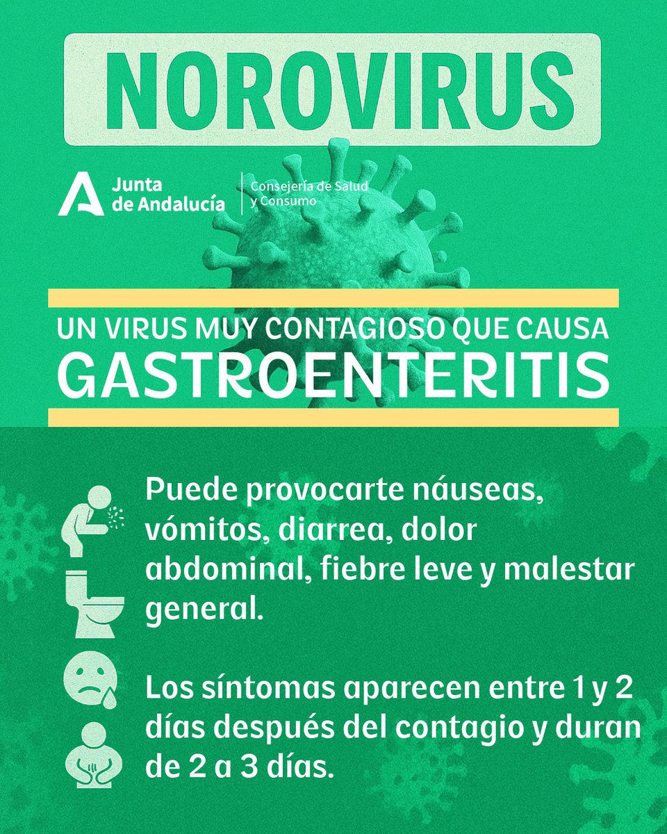 saludand's tweet image. 🦠 Norovirus: un virus que se propaga volando 😷
No hay vacuna ni tratamiento, ¡y es muy contagioso!
🤢 Náuseas, vómitos, diarrea
🚫 Se transmite por contacto, alimentos o ¡hasta por el aire!
🧼 Lava manos
🍽️ No compartas cubiertos
💧 Hidrátate y consulta si empeoras
#Norovirus
